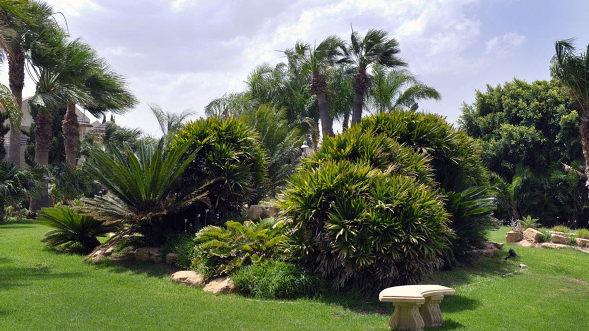 Palm Beach Hotel & Bungalows - NR